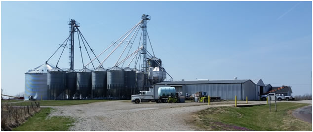Petersburg Seed Company LLC